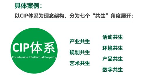 文化創(chuàng)意賦能鄉(xiāng)村振興 IP體系構(gòu)建與數(shù)字文創(chuàng)內(nèi)容應(yīng)用服務(wù)的實(shí)踐探索——以孫美華案例為視角